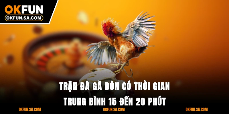 Trận đá gà đòn có thời gian trung bình 15 đến 20 phút